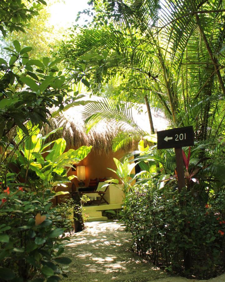 Piedra De Agua Palenque Hotel Exterior foto